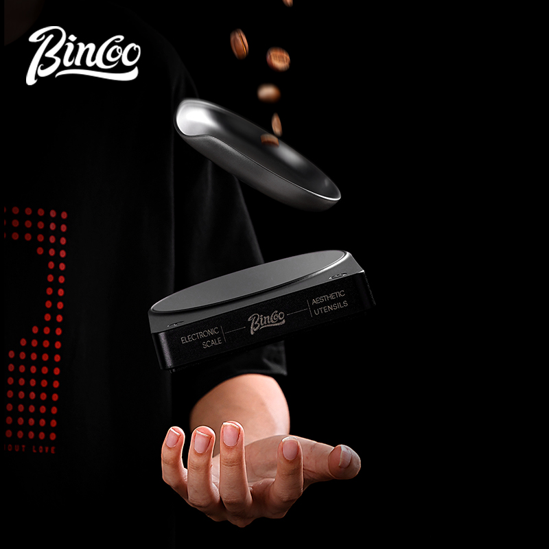 BINCOO Bilancia digitale per c - Smart Home Project recensione e prezzo