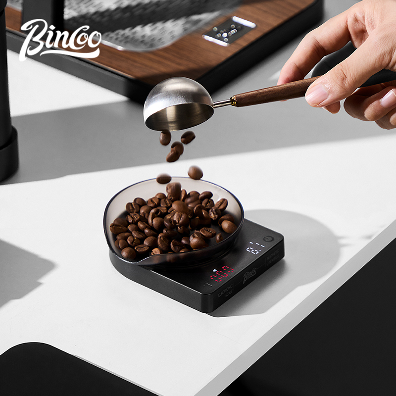 BINCOO Bilancia digitale per c - Smart Home Project recensione e prezzo