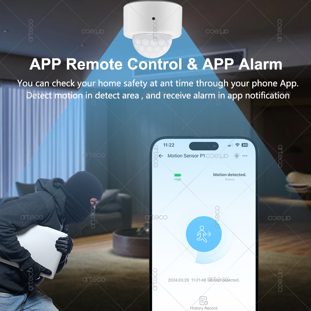 Ewelink Zigbee PIR Sensore di  - Smart Home Ir recensione e prezzo