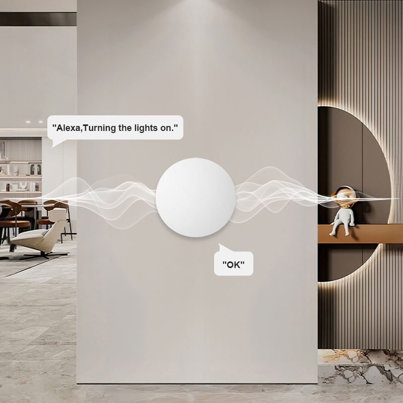 Pulsante Wireless Intelligente - Smart Home Voice Control recensione e prezzo