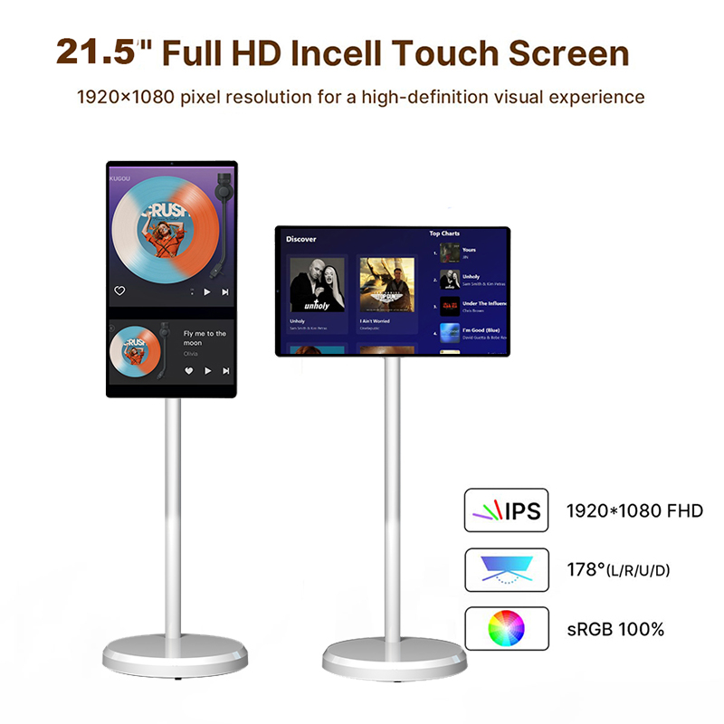 TV Smart Portatile da 21,5 Pol - Smart Home Kitchen recensione e prezzo