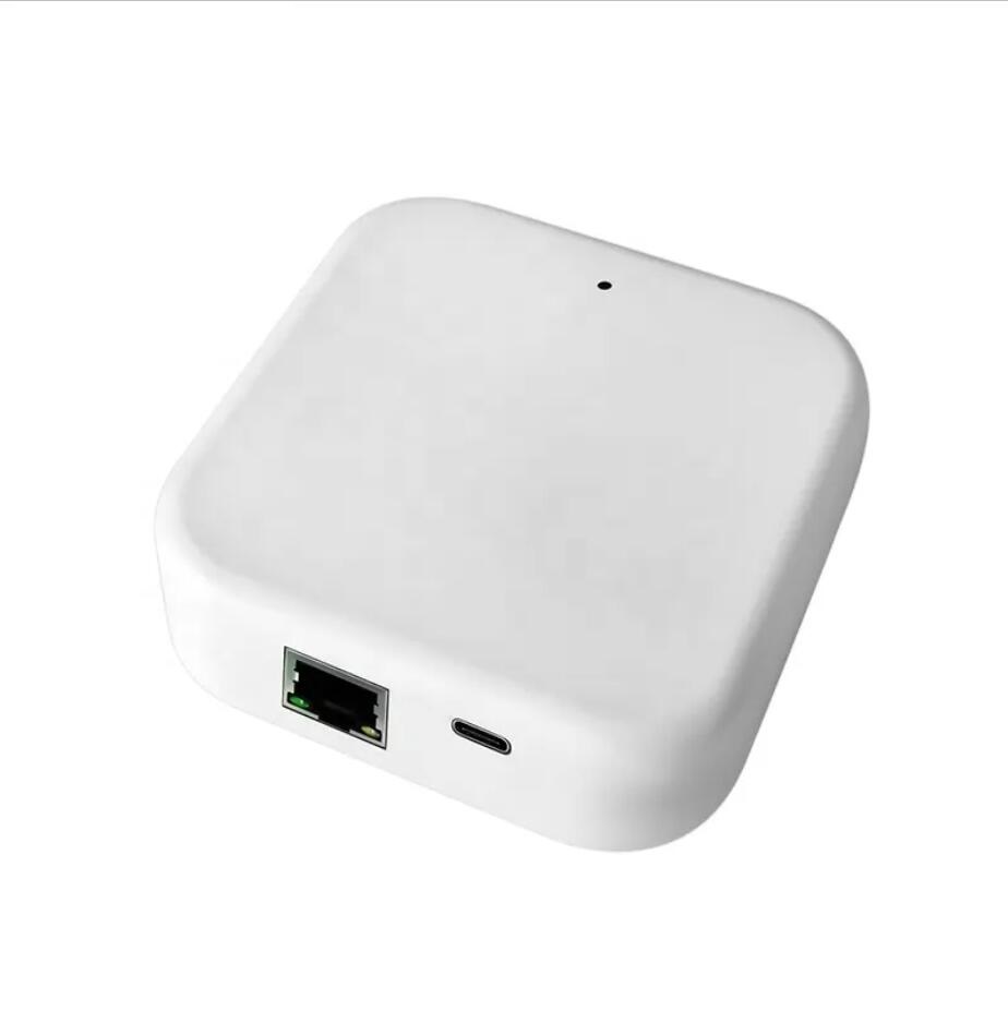 Gateway Wi-Fi TTLOCK G2 G3 per - Smart Home Button recensione e prezzo