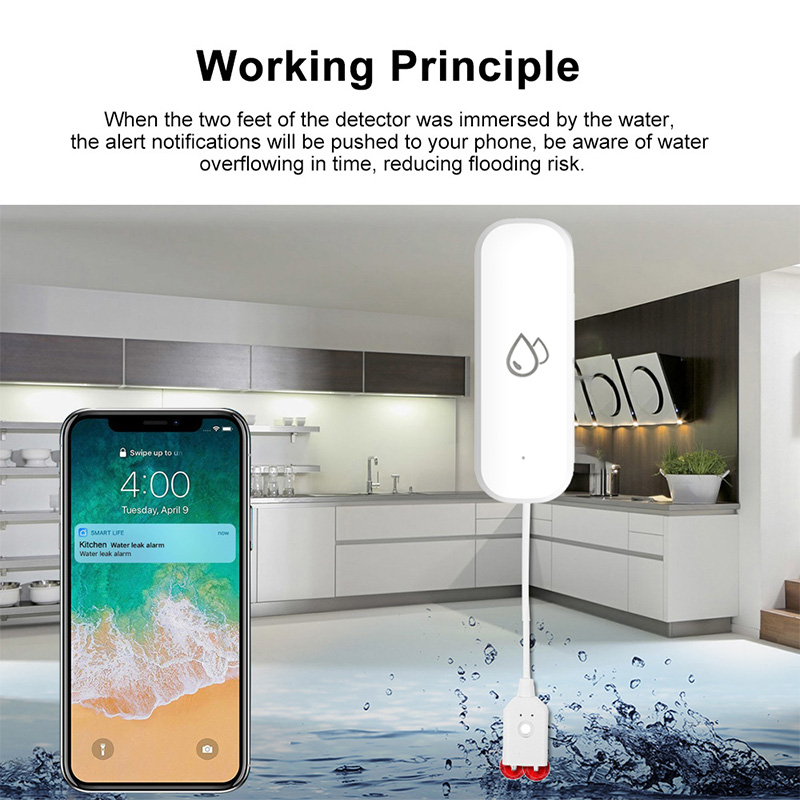 Sensore Allarme Perdite d'Acqu - Smart Home Project recensione e prezzo
